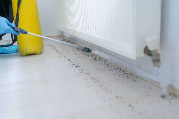 Best Ant Control Services  in Tullytown, PA